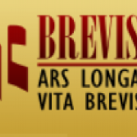 Brevis Music Art - Cursuri de pian, chitara, vioara, flaut